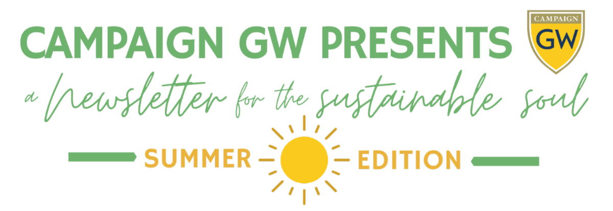 campaign gw presents a newsletter for the sustainable soul summer edition