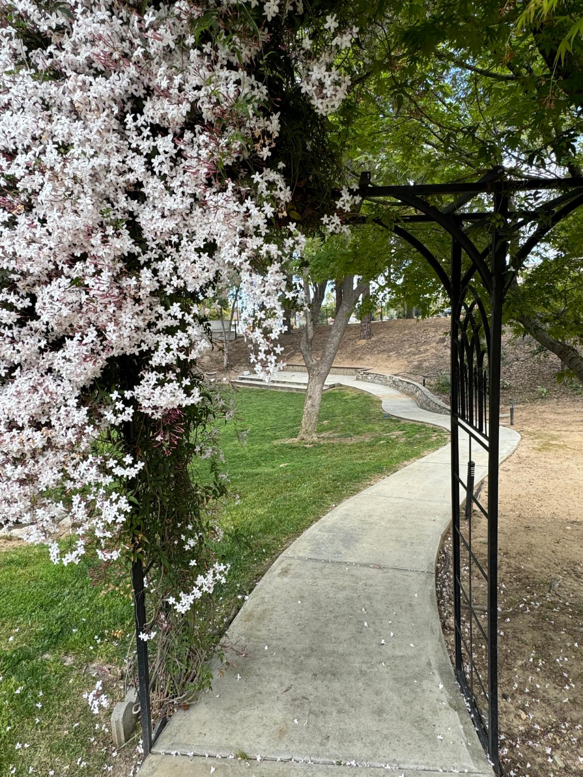 Archway leading down the path to the garden