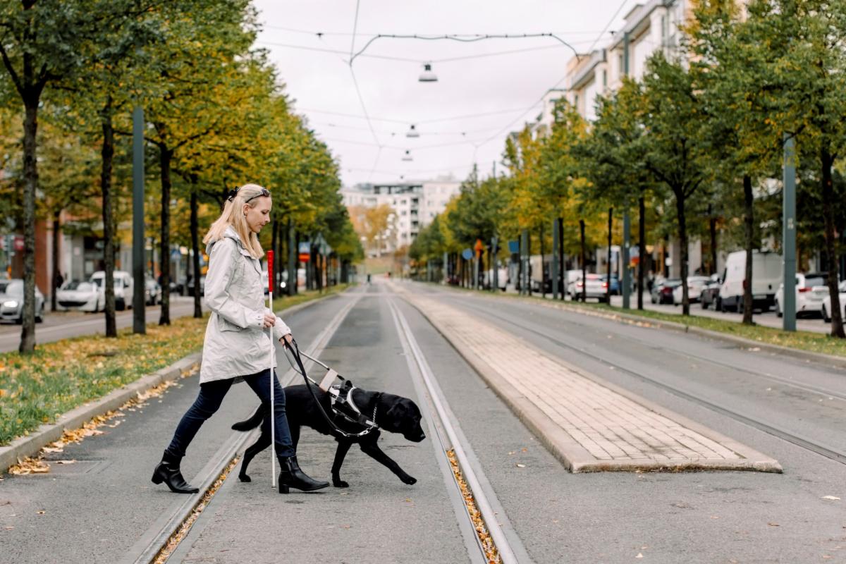 Adult with seeing eye dog crossing street