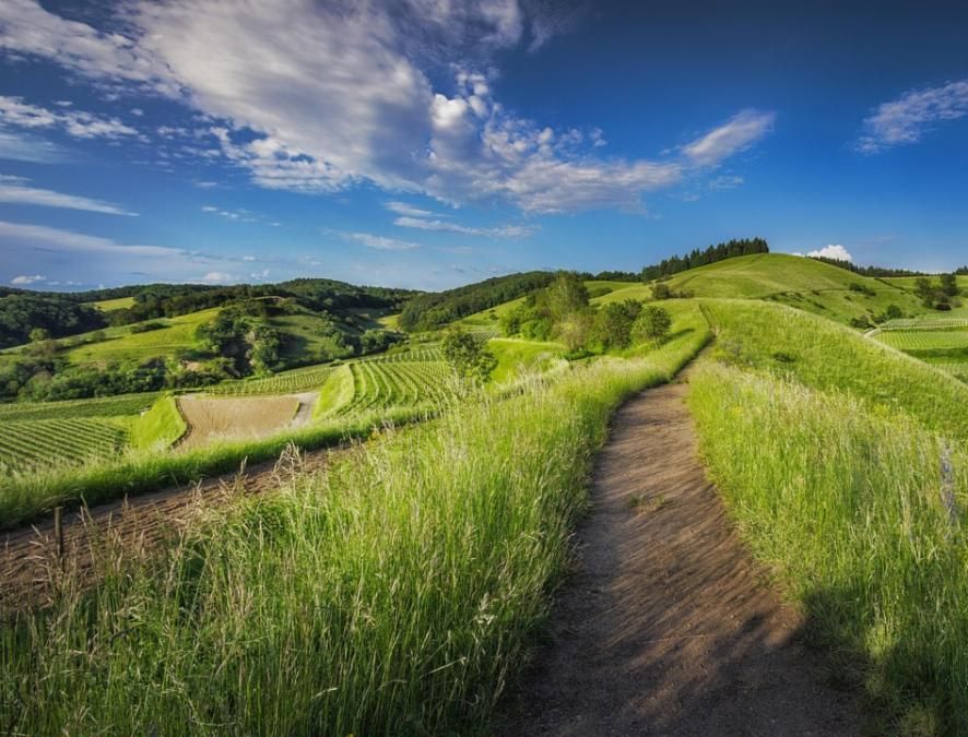 pathway through a landscape of rolling hills