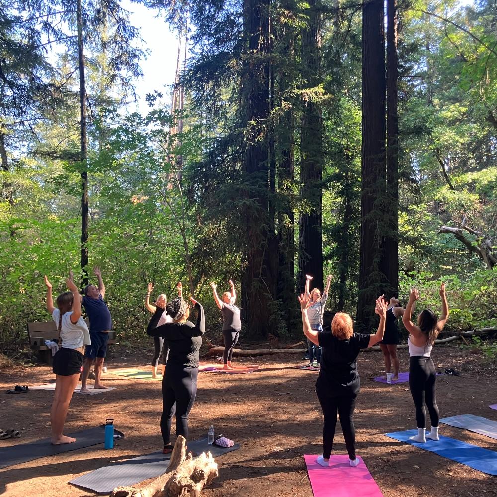 Hike to yoga