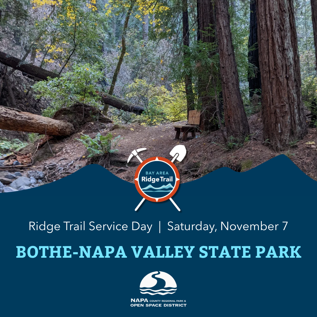 Photo of Bothe-Napa Valley SP with the Ridge Trail Service Day logo.