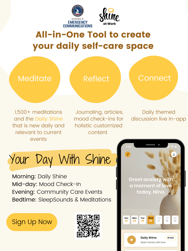 Shine at Work Launch Flyer.png