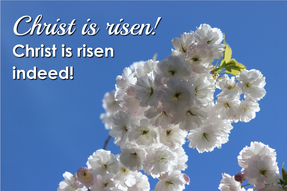 Connections for April 6