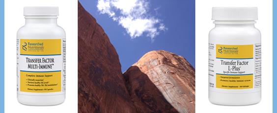 Lyme Disease Support Supplements