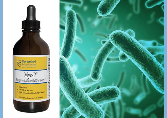 Myc-P Targeted Microbial Support