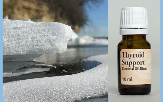 thyroid support