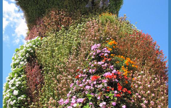 Optimal Health Network