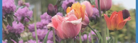 how to take an enema series