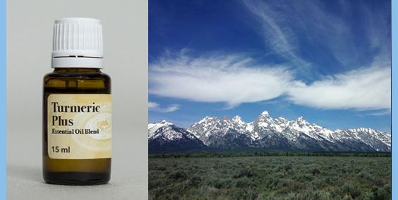 Turmeric Essential Oil Blend
