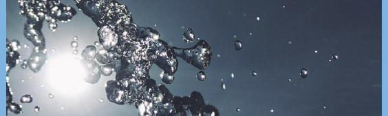 leaky gut syndrome