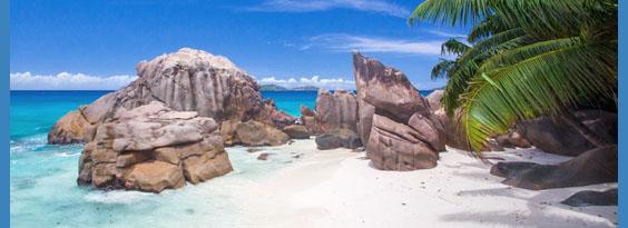 tropical beach