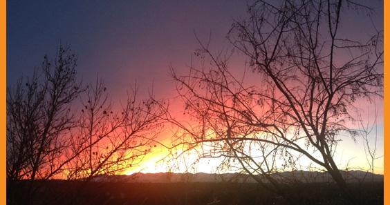 Optimal Health Network