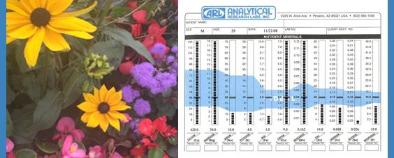 Hair Tissue Mineral Analysis