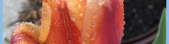 how to clean your enema equipment