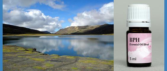 BPH Essential Oil Blend