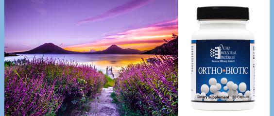 Ortho Biotic Probiotic for Gut Health