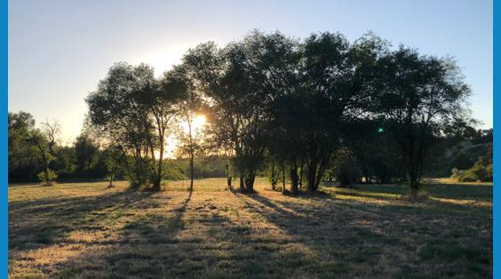 Lyme disease_ outdoor risks