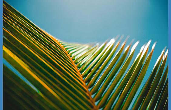 what is fibromyalgia_