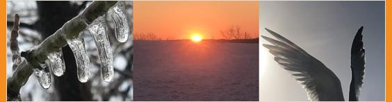 icicles and sunset and wings