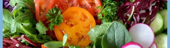 colon cleanse meal suggestions