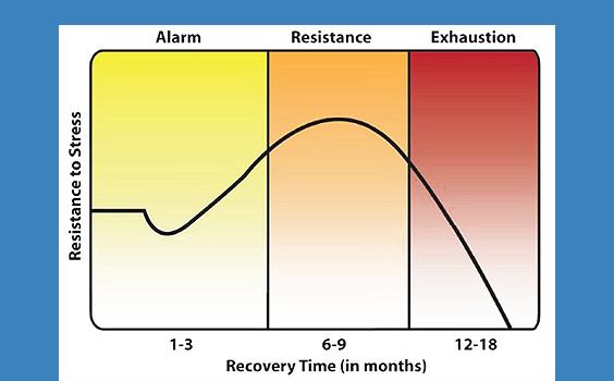 adrenal fatigue