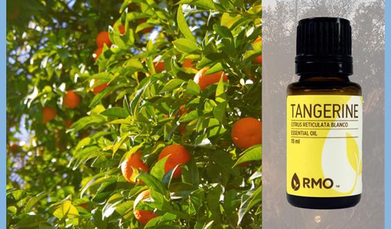 Tangerine Esssential Oil