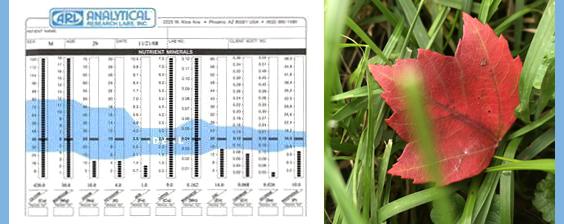 Hair Tissue Mineral Analysis