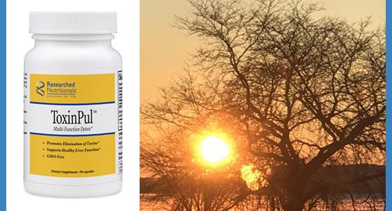 Researched Nutritionals ToxinPul - 90 capsules