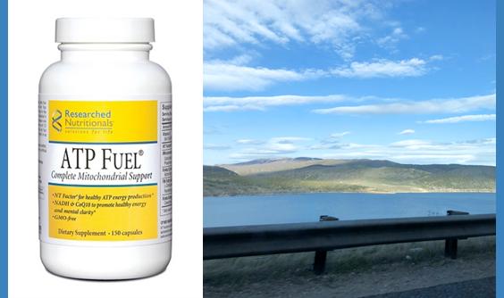 ATP Fuel