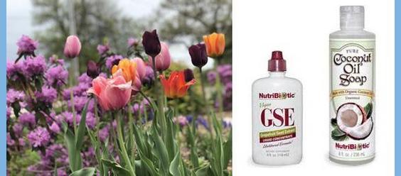 enema equipment cleaning kit