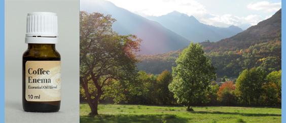 coffee enema essential oil blend