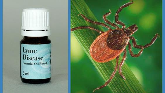 Lyme Disease Essential Oil Blend
