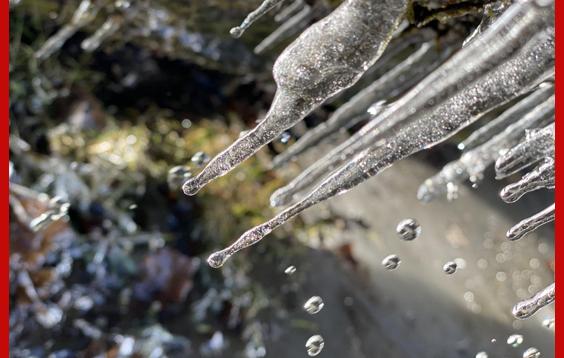 icicles