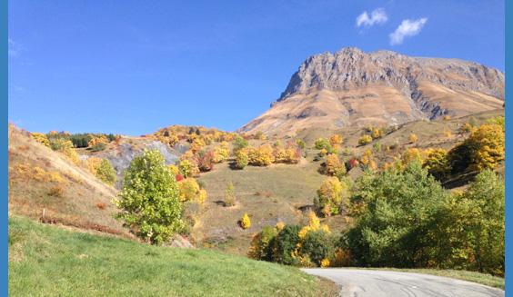 Optimal Health Network