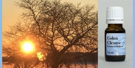 Colon Cleanse Essential Oil Blend