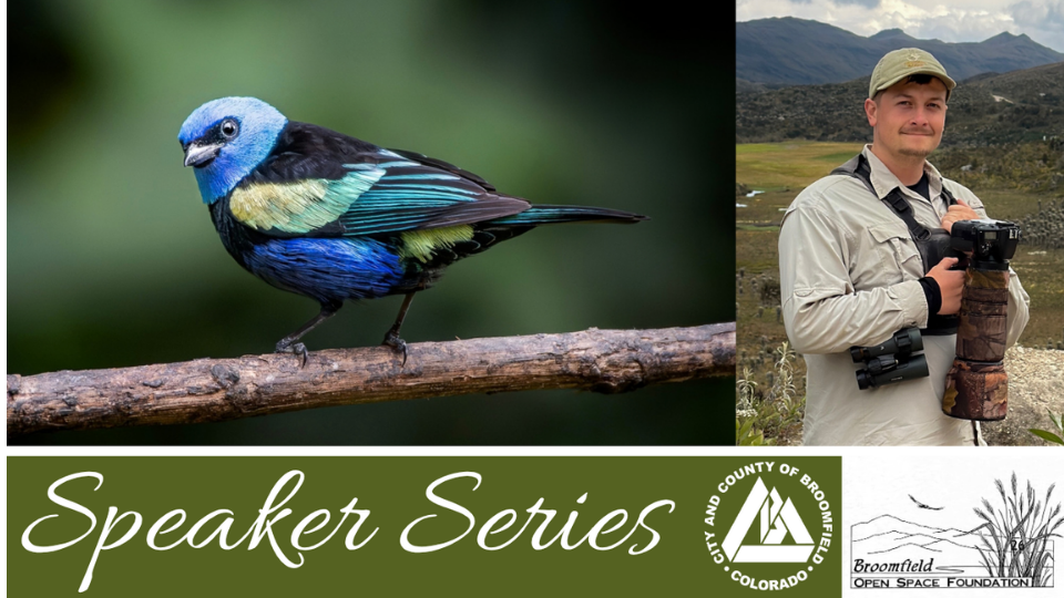 A photograph of a small bird on a branch with a bright blue head and colorful wings next to a picture of Brian Genge in beige shirt and cap with a professional camera around his neck. Text overlay underneath reads, "Speaker Series".