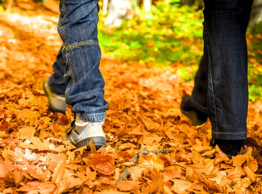 A photo of two people's feet walking through fallen leaves on a path.  Both wear long blue jeans, one with white shoes and one with black shoes. 