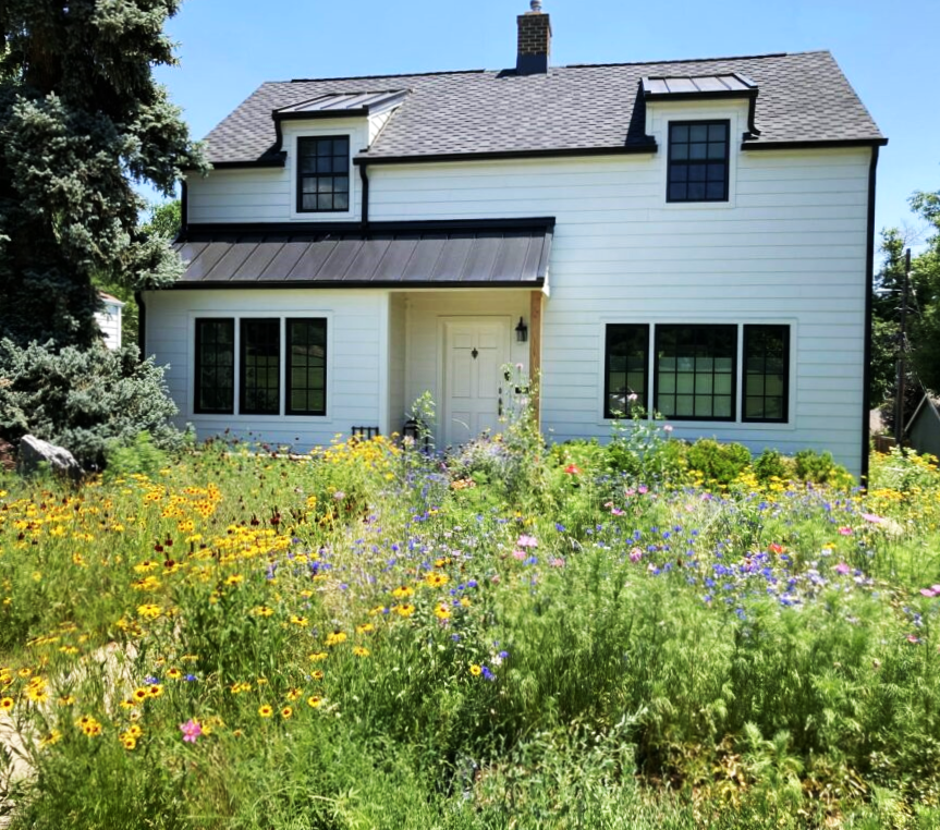 Home with chaos garden landscape