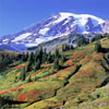 mountainside-sm.jpg