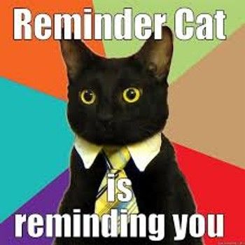 reminder cat.jpeg