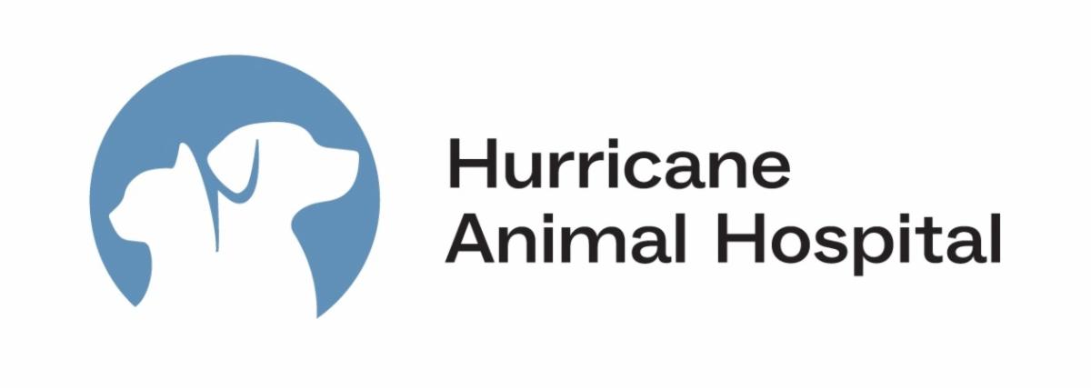 branding logo
