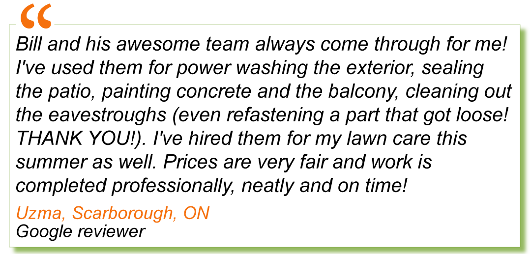 Customer-review11.png