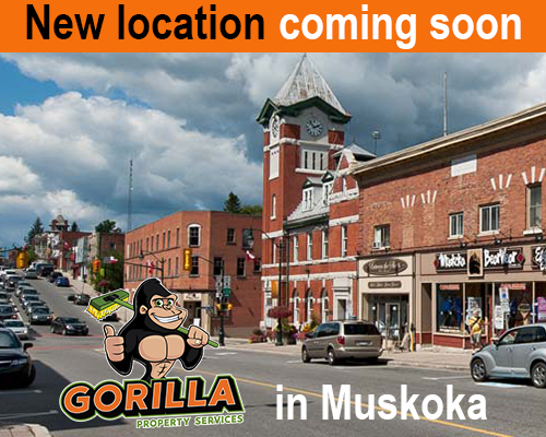new-location.jpg