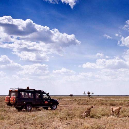 Ntaba African Safaris - Join our Facebook Travel Advisors Group