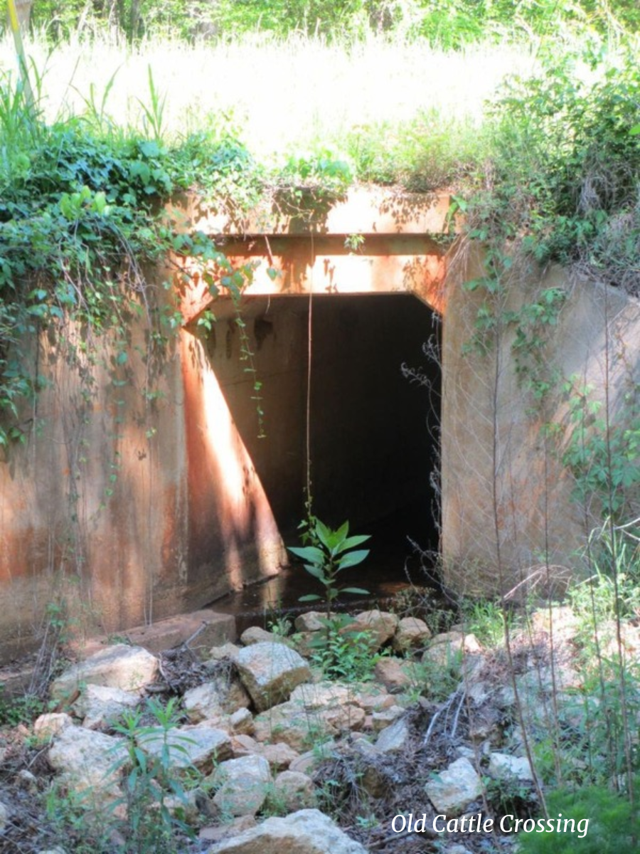 Cattle_Underpass.JPG_p1.png