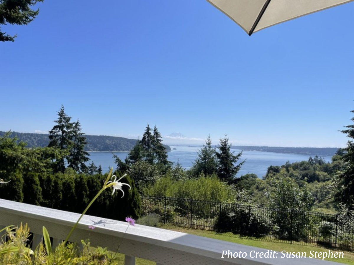 Puget_Sound_View.jpg_p1.png