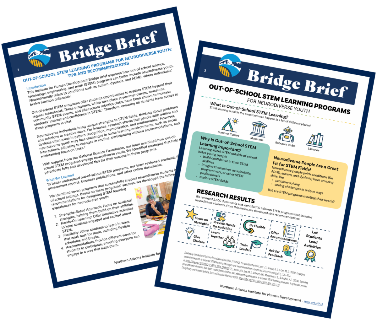 Small thumbnail image of the Bridge Brief. The text is too small to read.