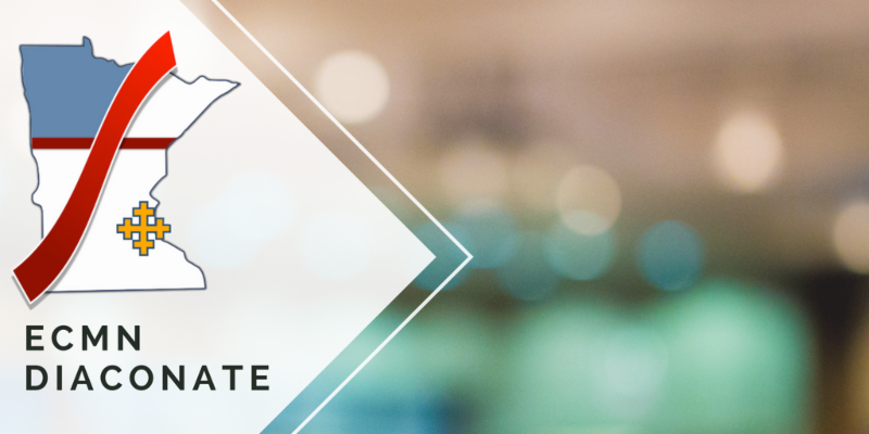 Software Pilot Update Newsletter Example Archdeacons Newsletter - August 2026