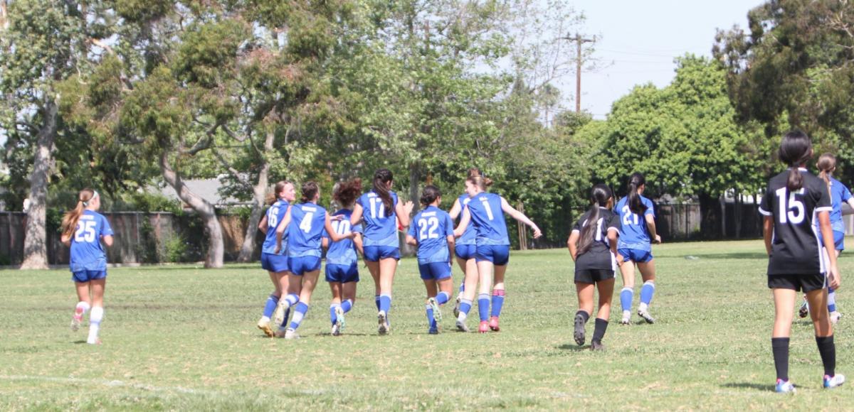 Soccer players in blue jerseys run together across the field celebrating a goal